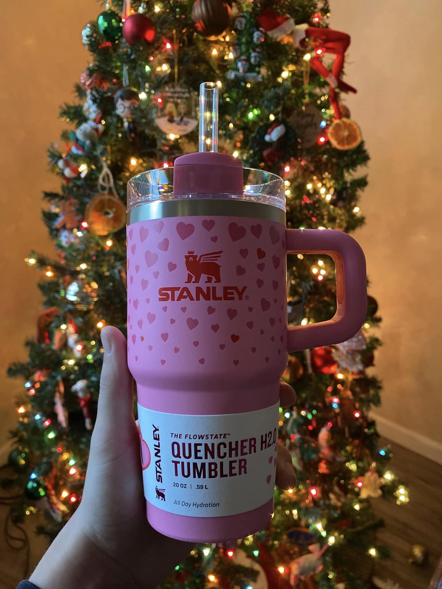 Valentine's Day Stanley Tumbler Hot Trend 2025 - HM59 photo review